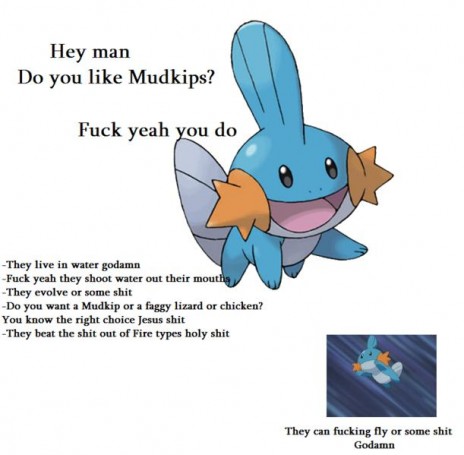 611px_MOTHERFUCKINGMUDKIPS.JPG