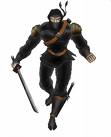 ninja.jpg