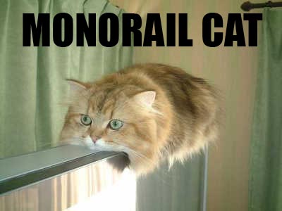 monorail_cat.jpg