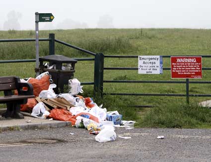rubbish_by_bins.jpg