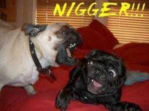 medium_nigger.jpg