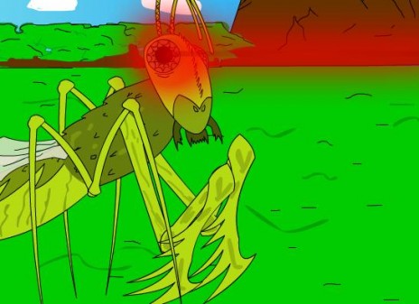 mantodea.jpg