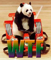 wtf.jpg