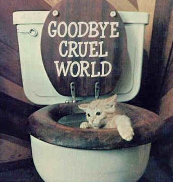 goodbye_cruel_world.jpg
