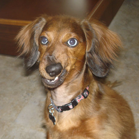 bauerNoseTwist.jpg