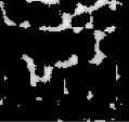 images.jpeg
