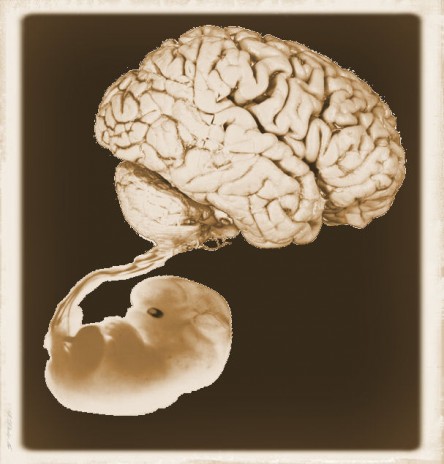 Abortion_Pick_01__JPG_.jpg