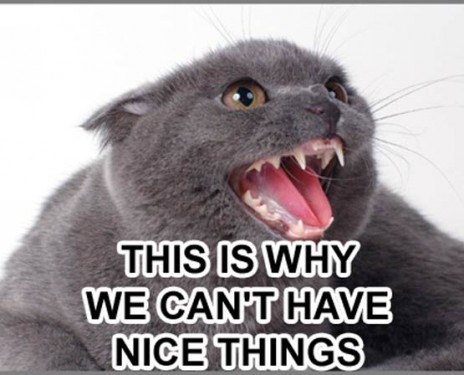 whywecanthavenicethingsms8.jpg