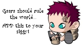 gara_ruler.jpg