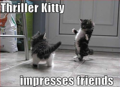 thriller_kitten_impresses.jpg