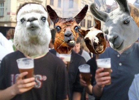 llamaz.jpg