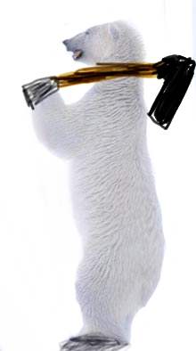 polar_hockey.JPG