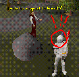 runescapewhiteknight.GIF