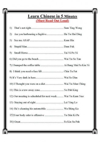 LearnChinesein5Minutes.jpg