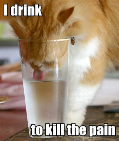 i_drink_to_kill_the_pain2.jpg