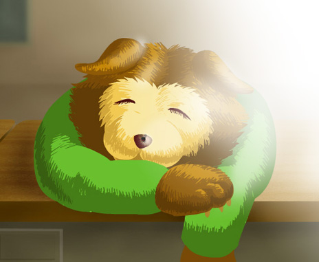 animal02a.jpg