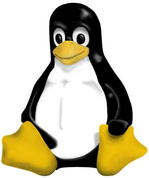 penguin.jpg