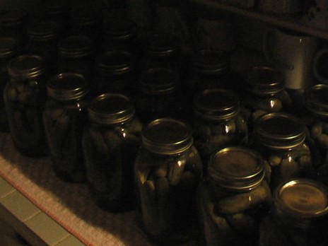 IMGA1111.JPG