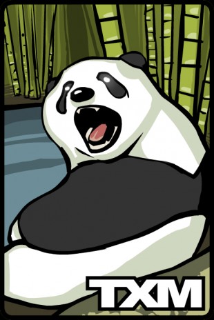 txm_panda.jpg
