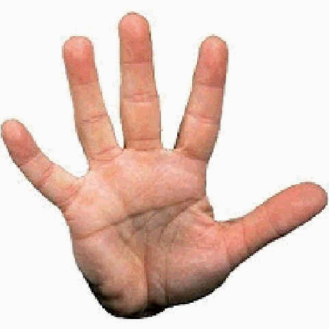 highfi1.gif