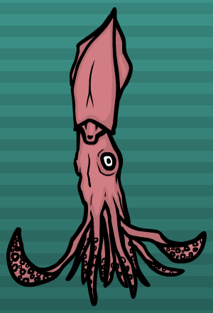 squid.gif