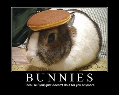 bunnies_1_.jpg