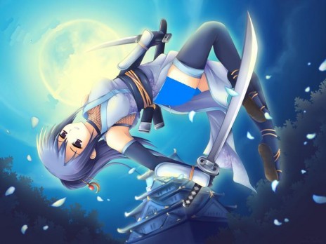 ninjagirl3.jpg