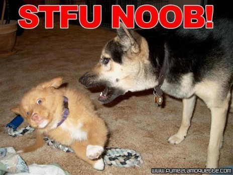loldoggie.jpg