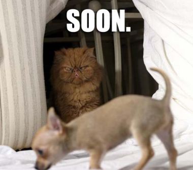 Soon.jpg