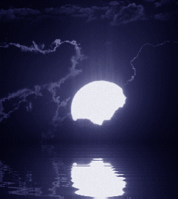 Moon.gif