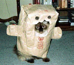 cat_in_a_bag_gif.GIF