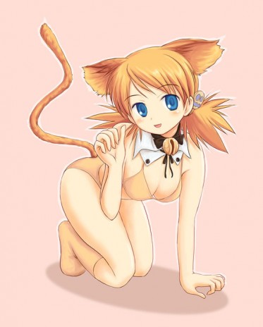 anime cat girl. anime girls like cat-girls