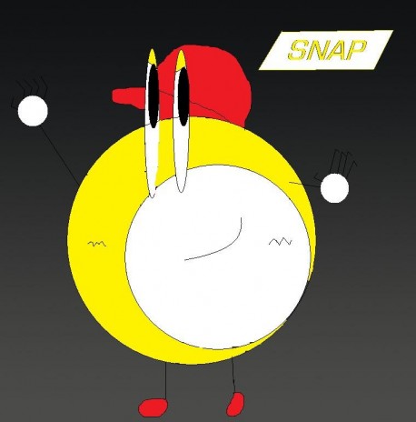 Snap_pro_.jpg