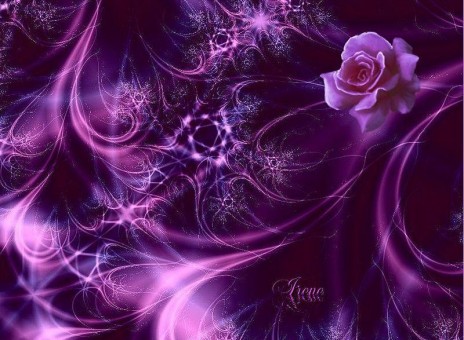 purple_rose.jpg