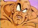 nappa.jpg