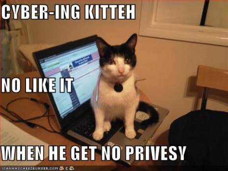 cyberingkitteh.jpg