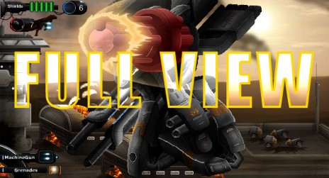 dslibfullview.jpg