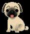 puppy.jpg