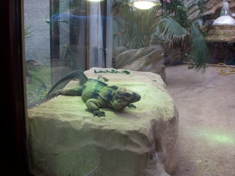 bristol_zoo_009.jpg