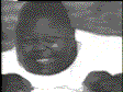 haripz2.gif