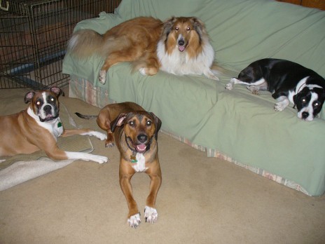 Elvis_visiting_his_buddies.jpg