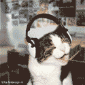 avatar_5694.gif