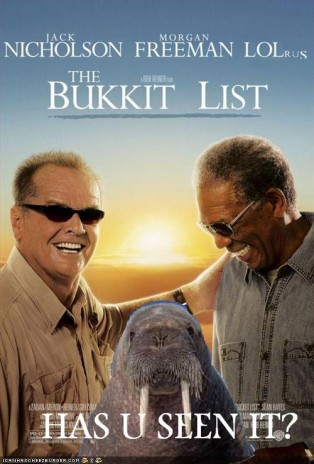 teh_bukkit_list.jpg