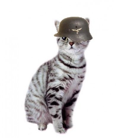 Nazicat.jpg
