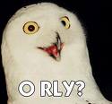 O_rly_owl.jpg