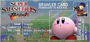 My_SSBB_License.gif