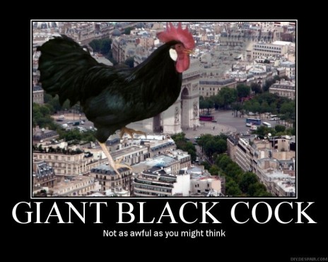 black_cock_poster.jpg
