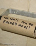 Toilet_Role.jpg