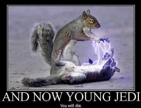 Jedi_Squrrill.jpg