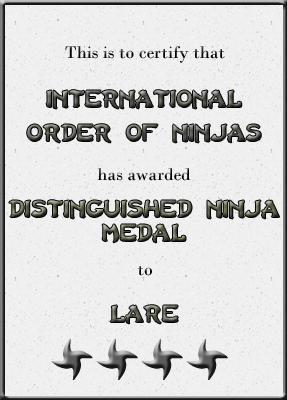 ninja_award_copy.jpg